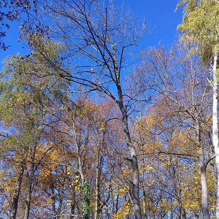 Διαμέρισμα Apartma Sungarden Λίμπερεκ